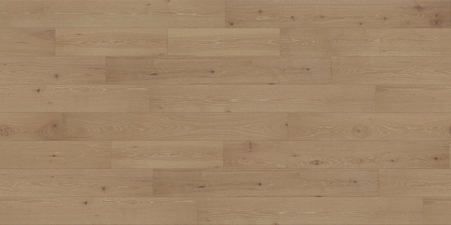 Zion Hickory