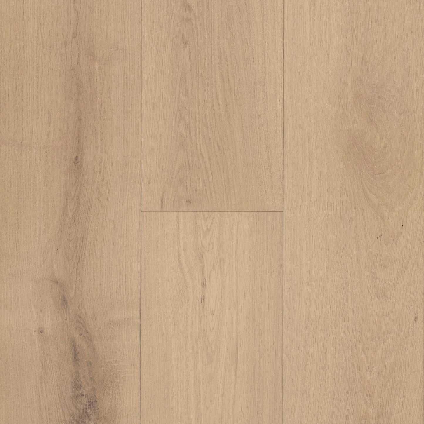 Sierra White Oak Samples