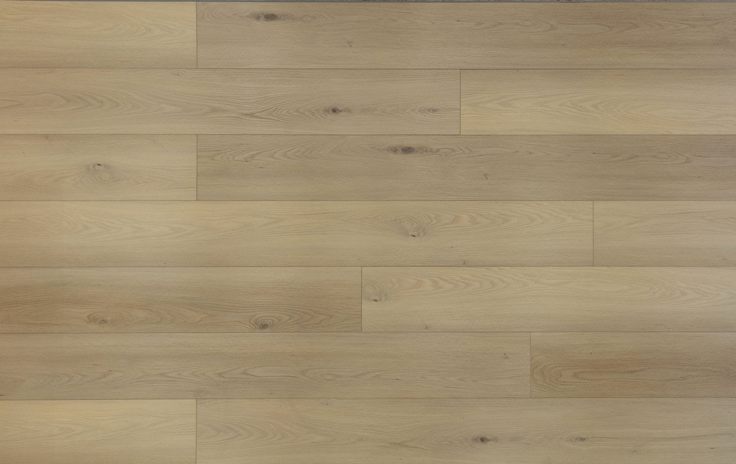 Alpine White Oak Sample