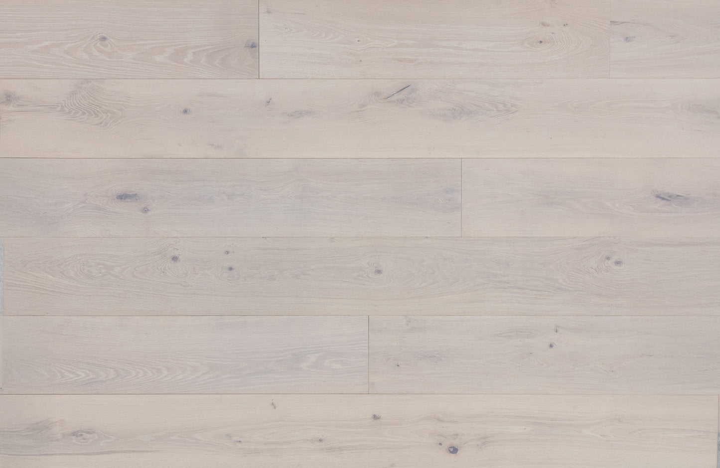 Long Island White Oak