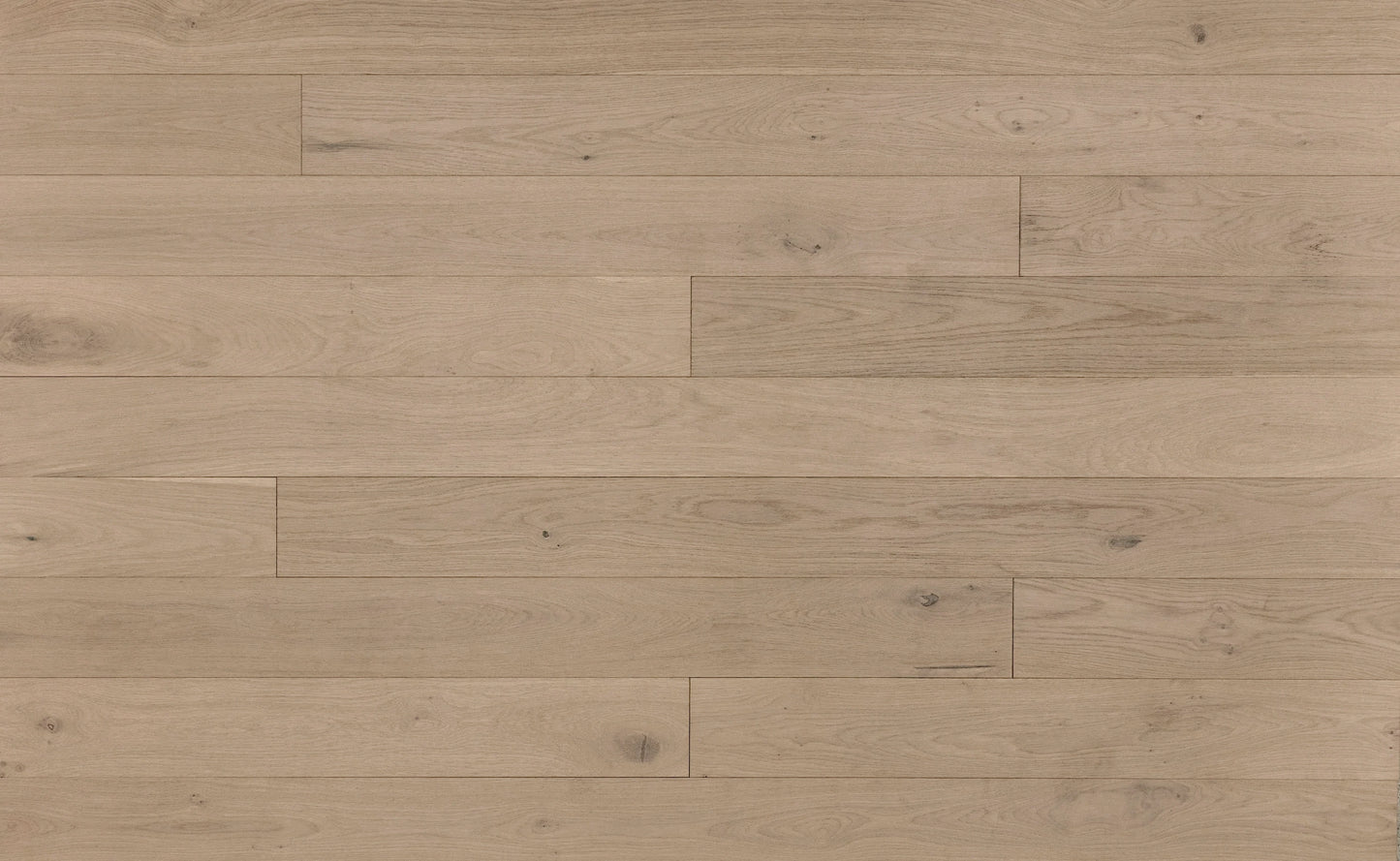 Coastal White Oak