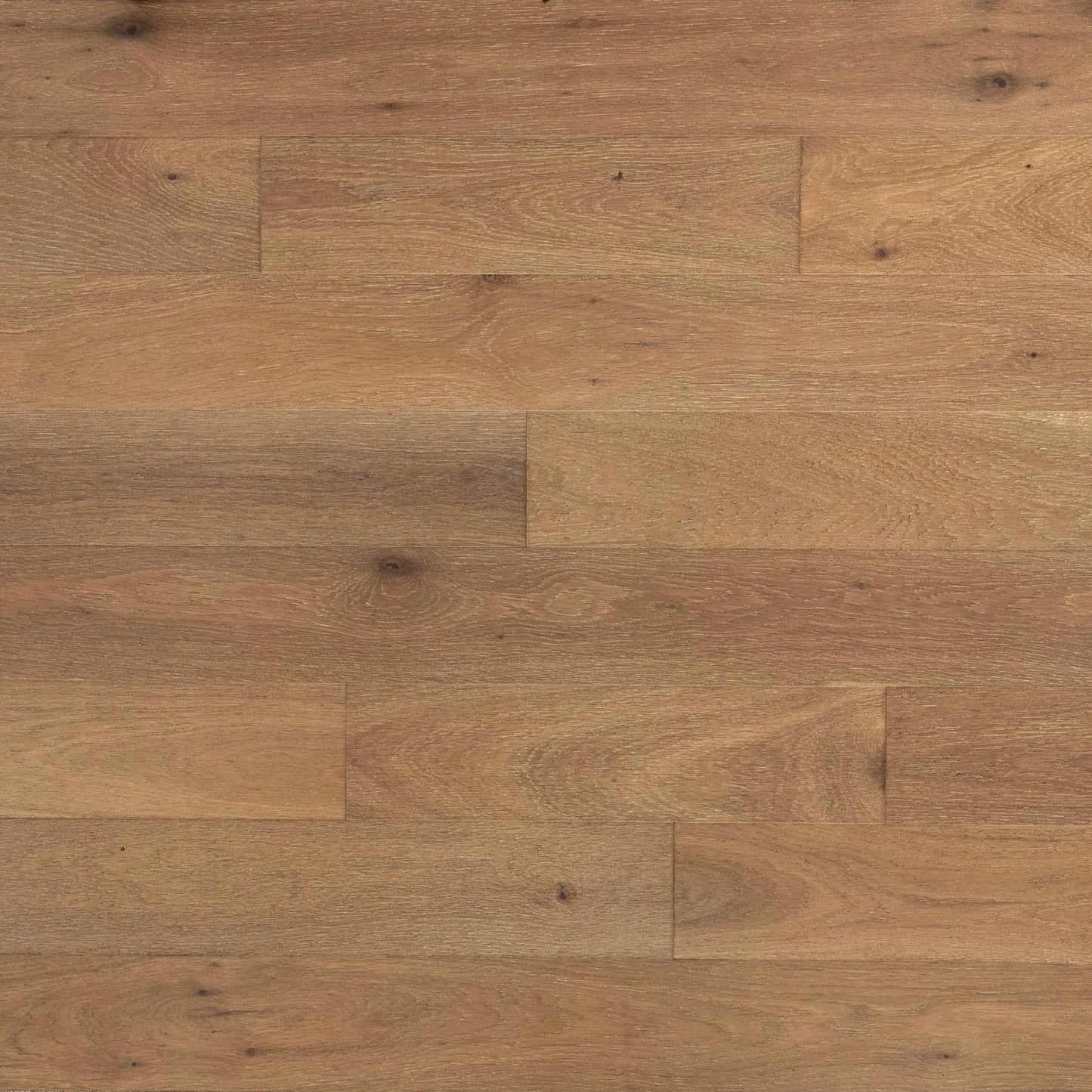 Mojave White Oak