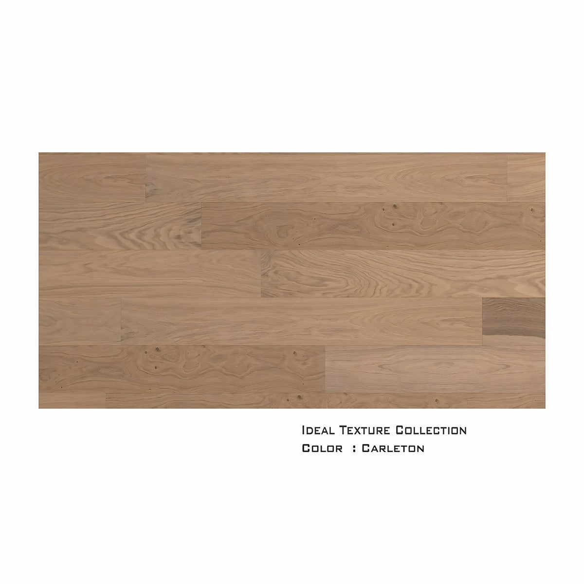 Carleton White Oak