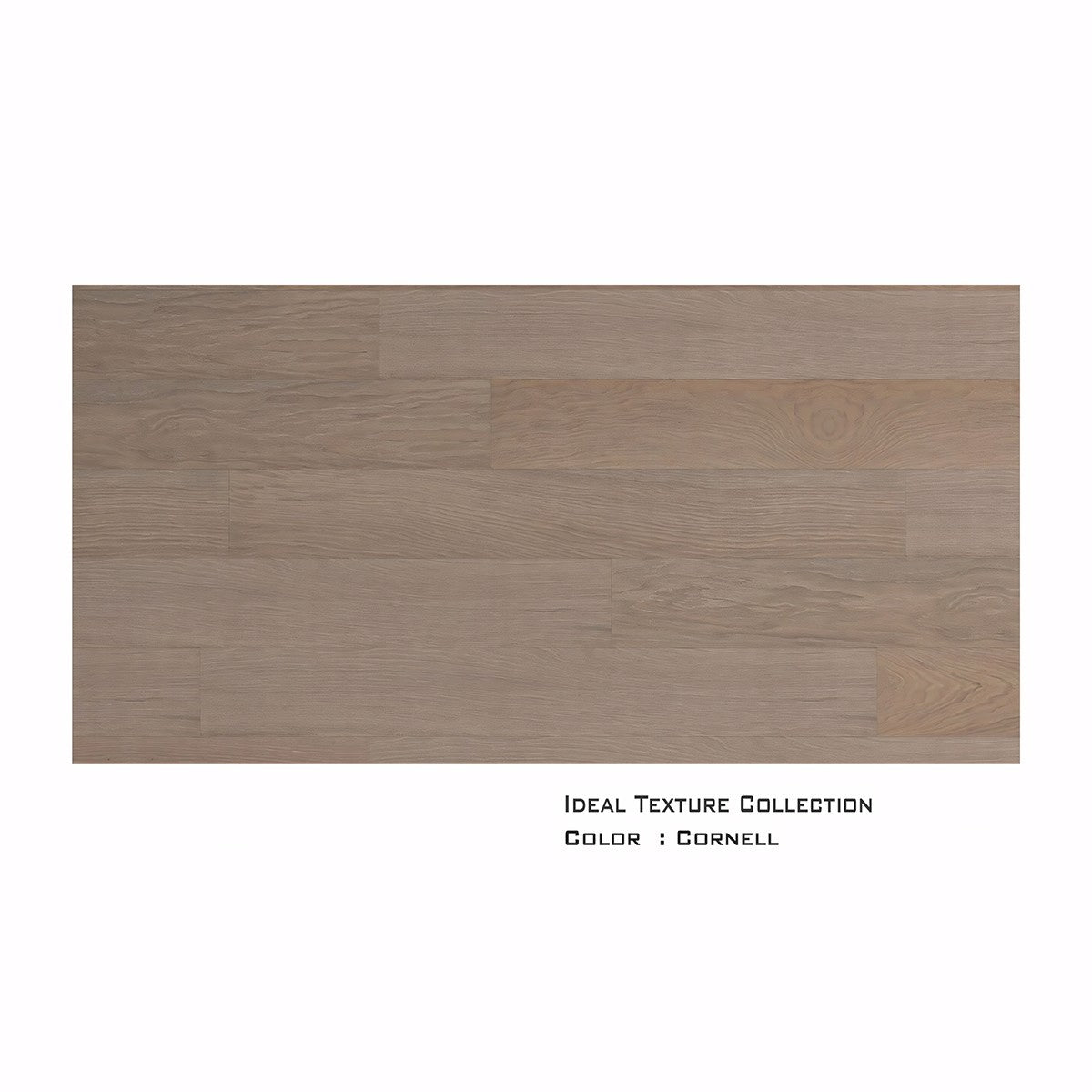 Cornell White Oak
