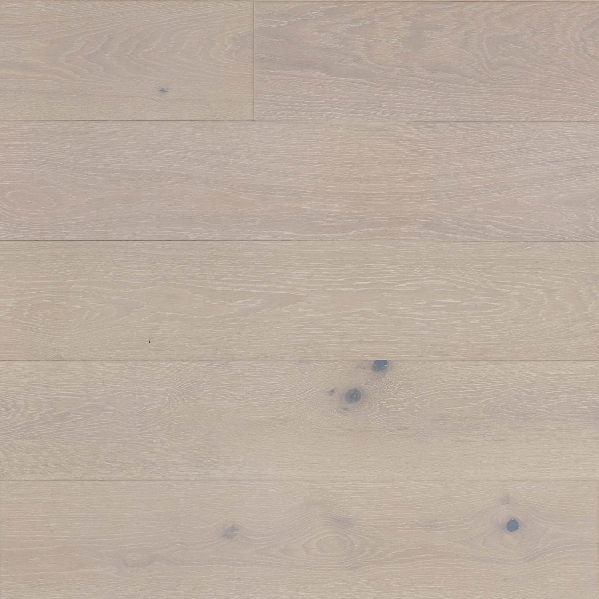 Dahlia White Oak