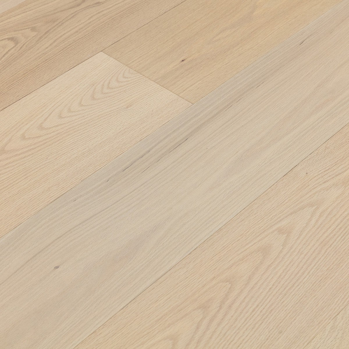 Cotton Oak