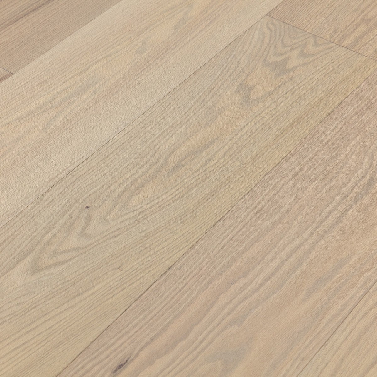 Sand Oak