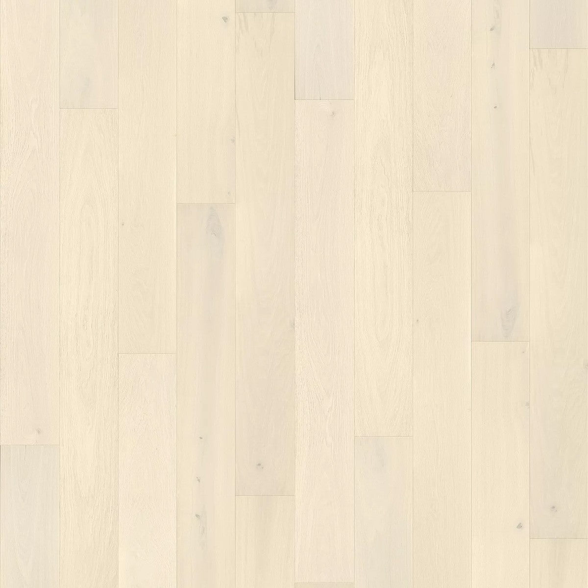 Bali White Oak