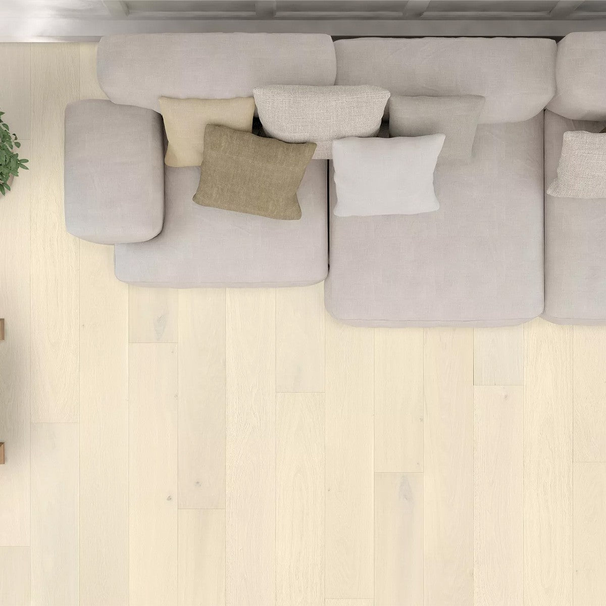 Bali White Oak