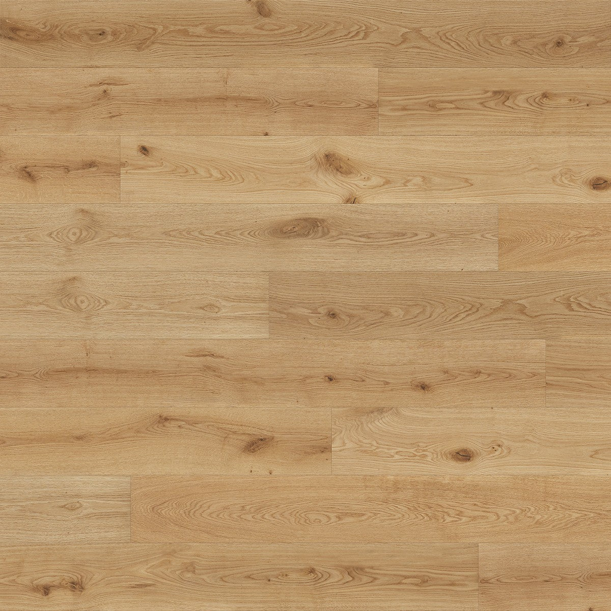 Cambridge White Oak
