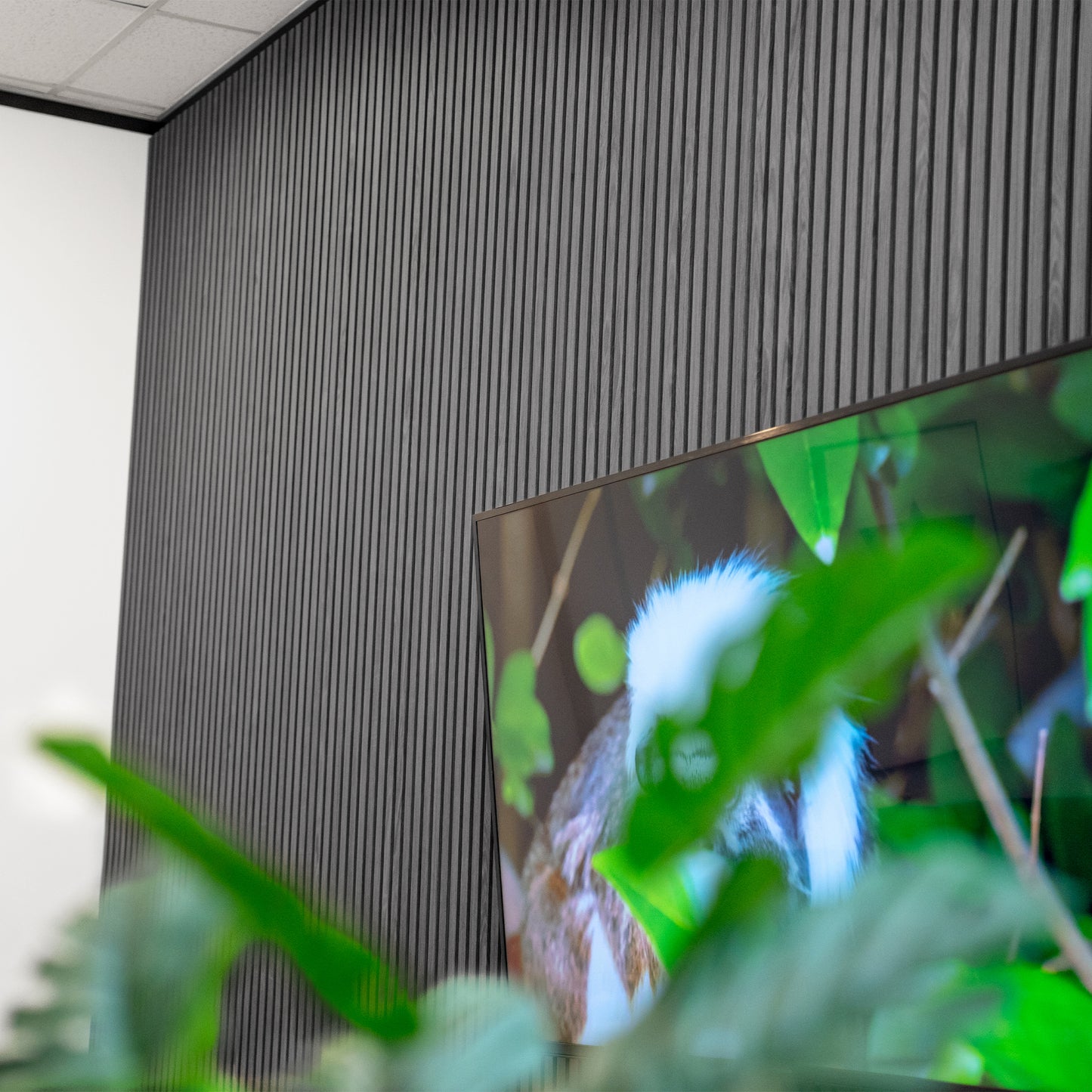 Cinder Oak Acoustic Slat Panels