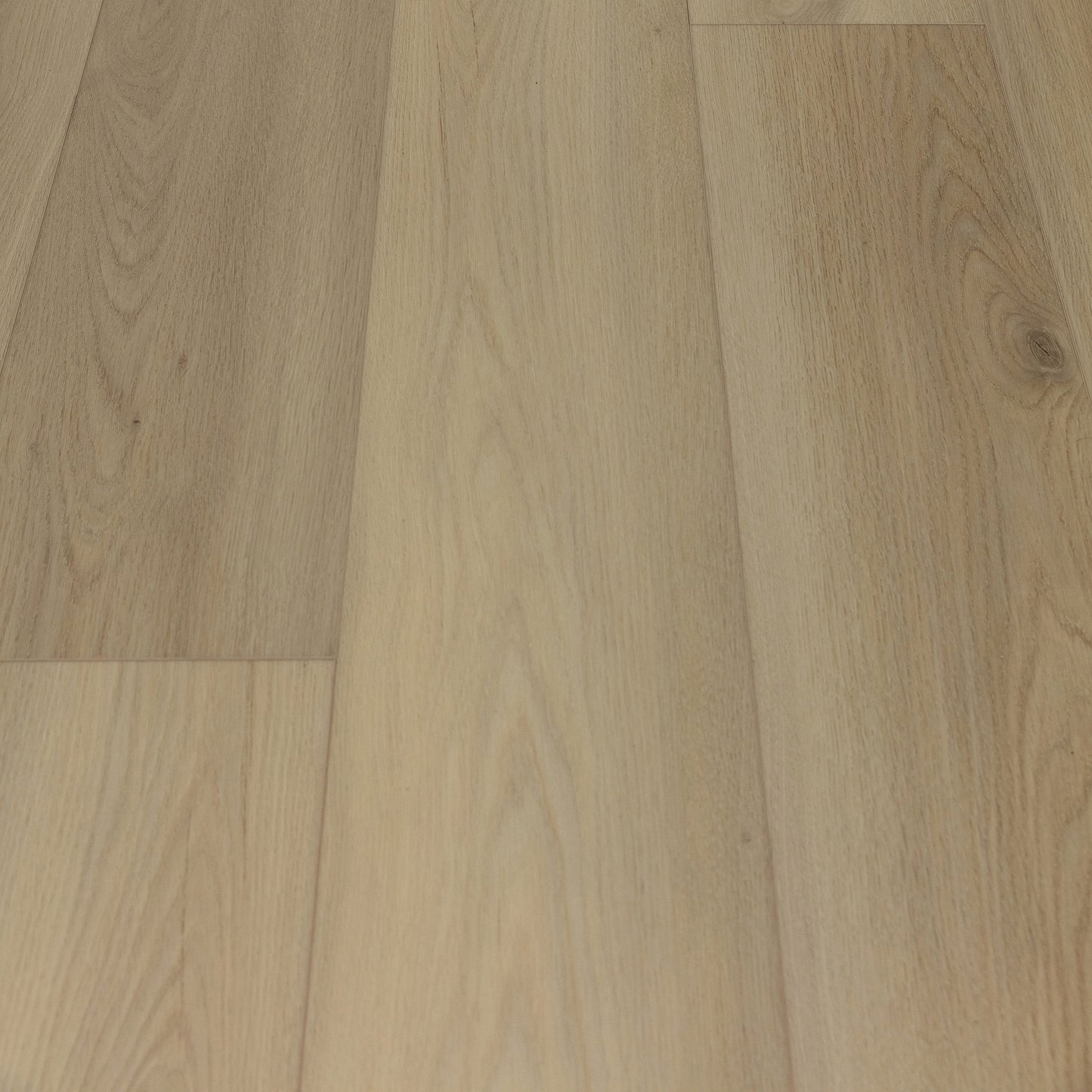 Alpine White Oak Sample
