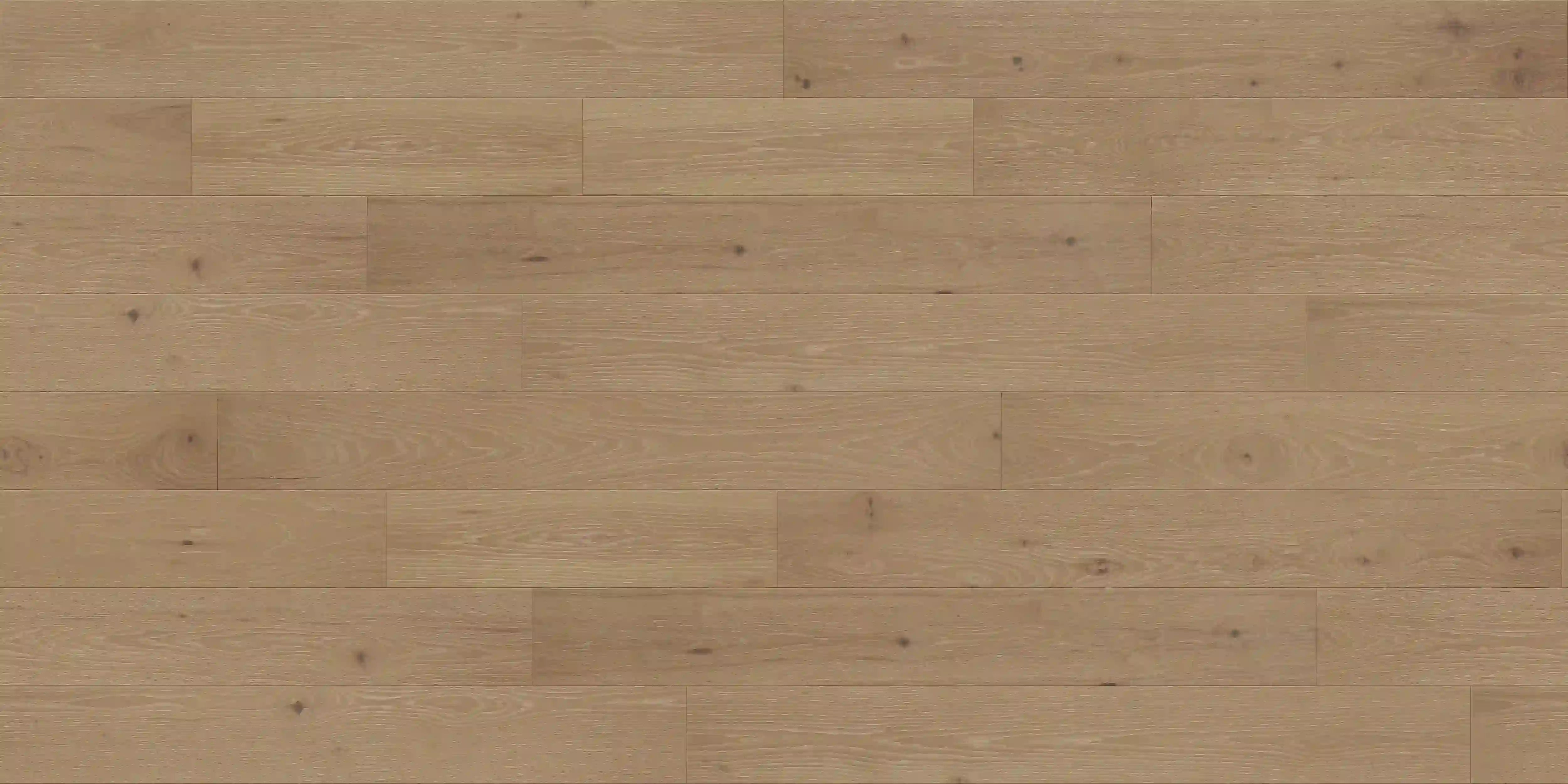 Zion Hickory