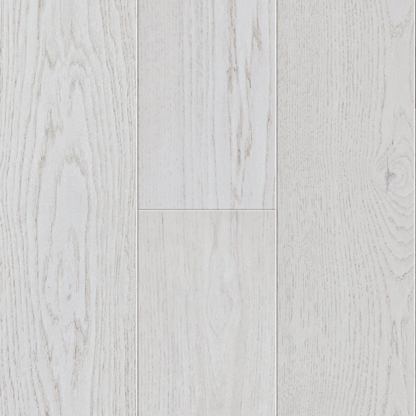 Glacier Hickory