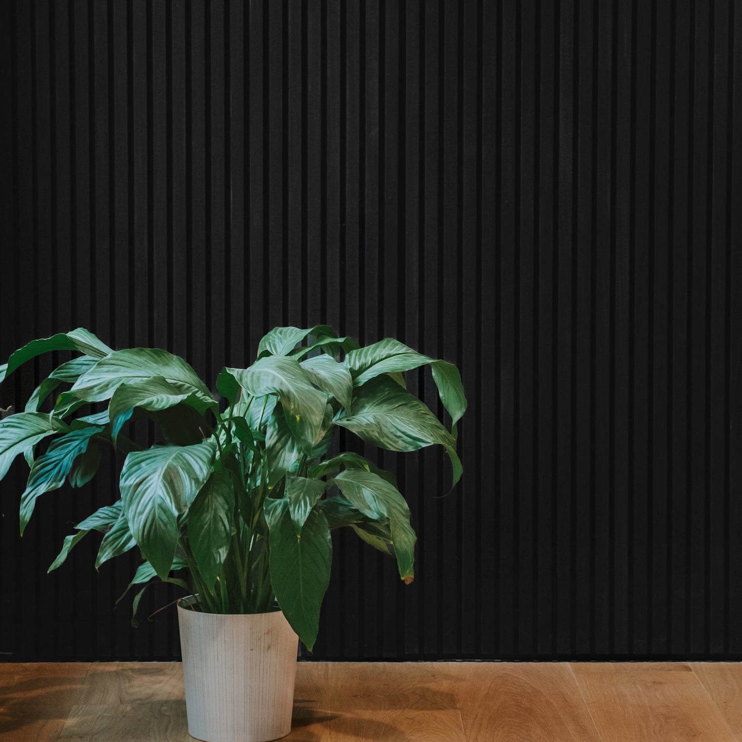 Noir Oak Acoustic Slat Panels