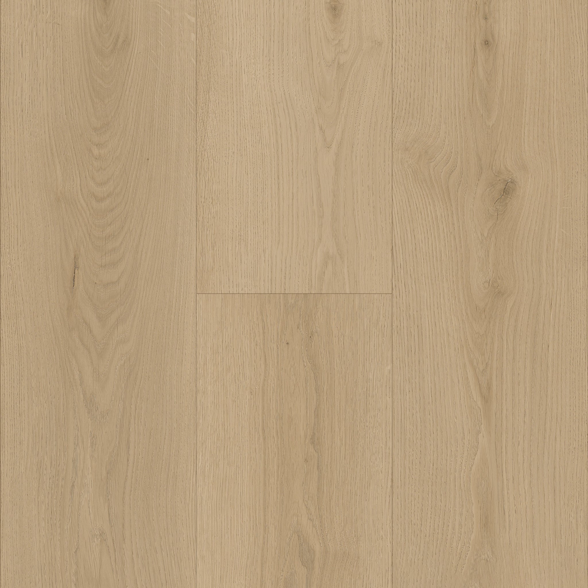 Sequoia White Oak