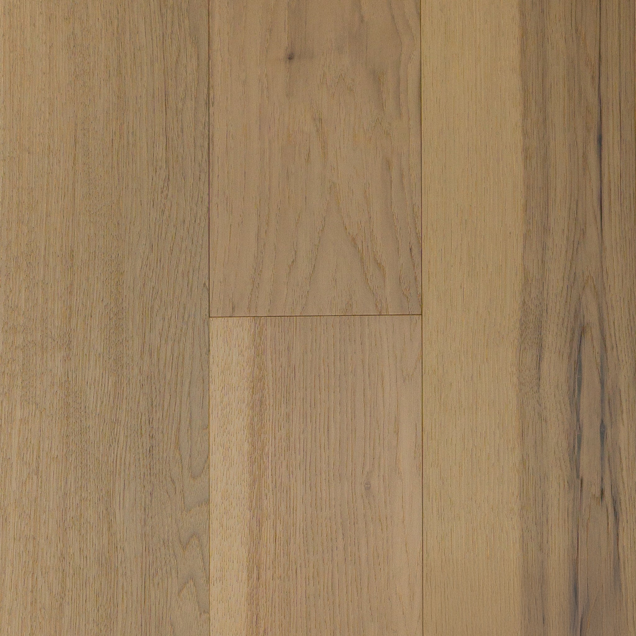 Katmai Hickory