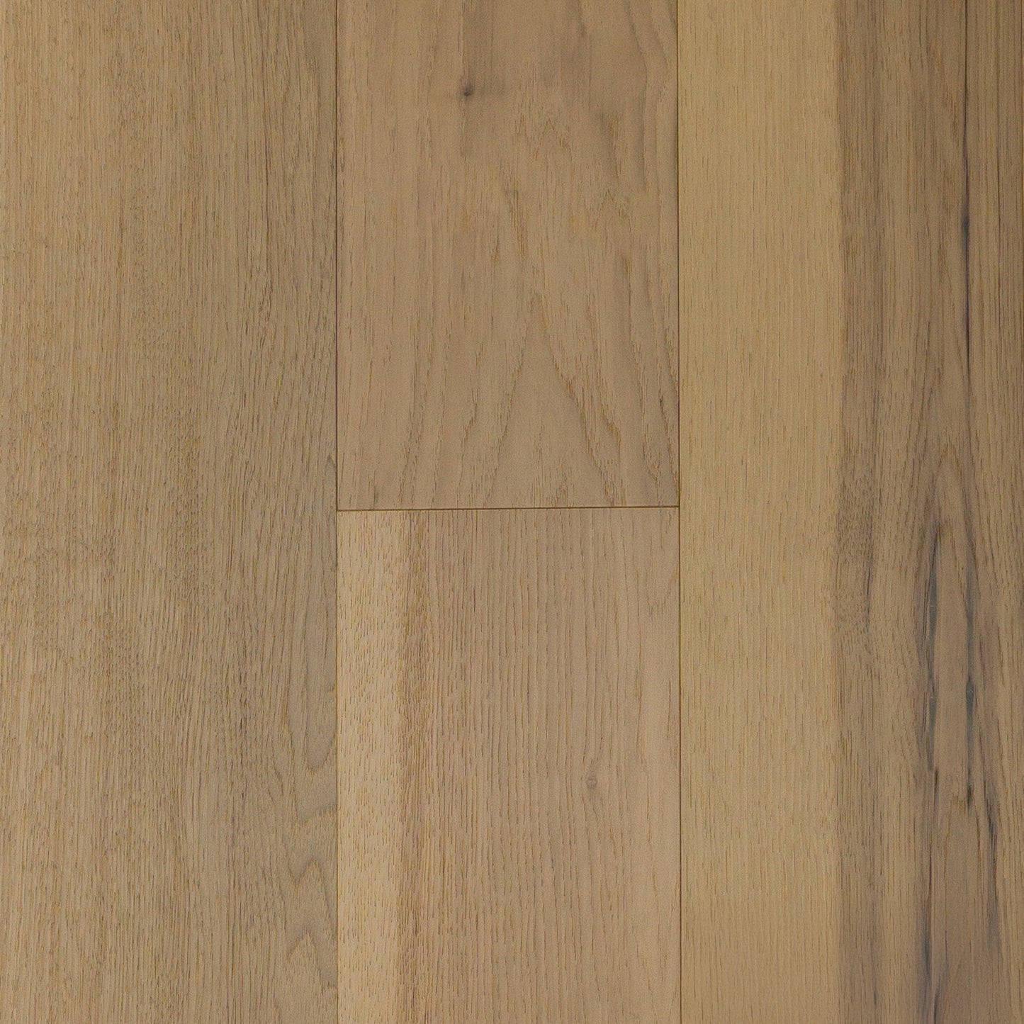 Katmai Hickory