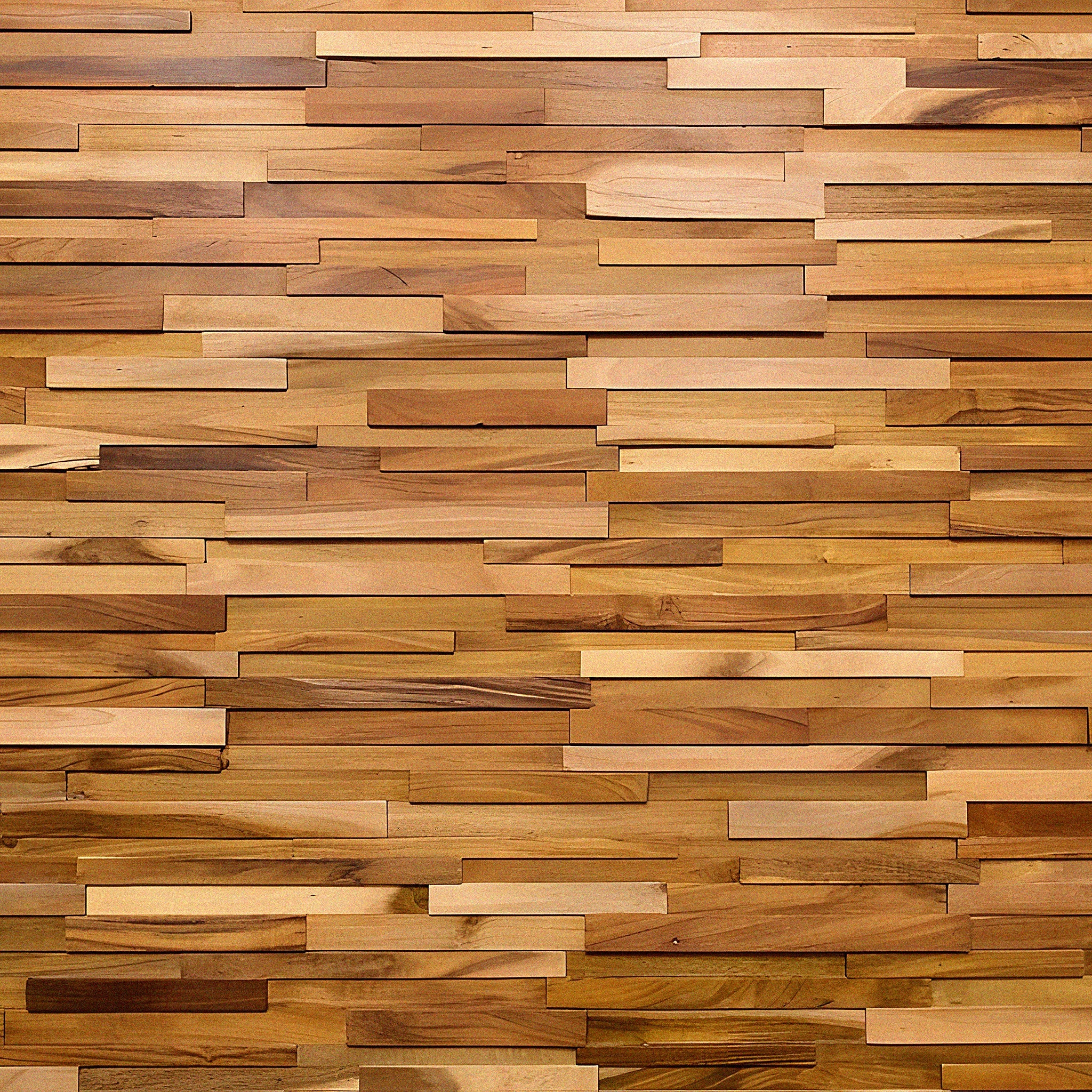 3D Natural Acacia