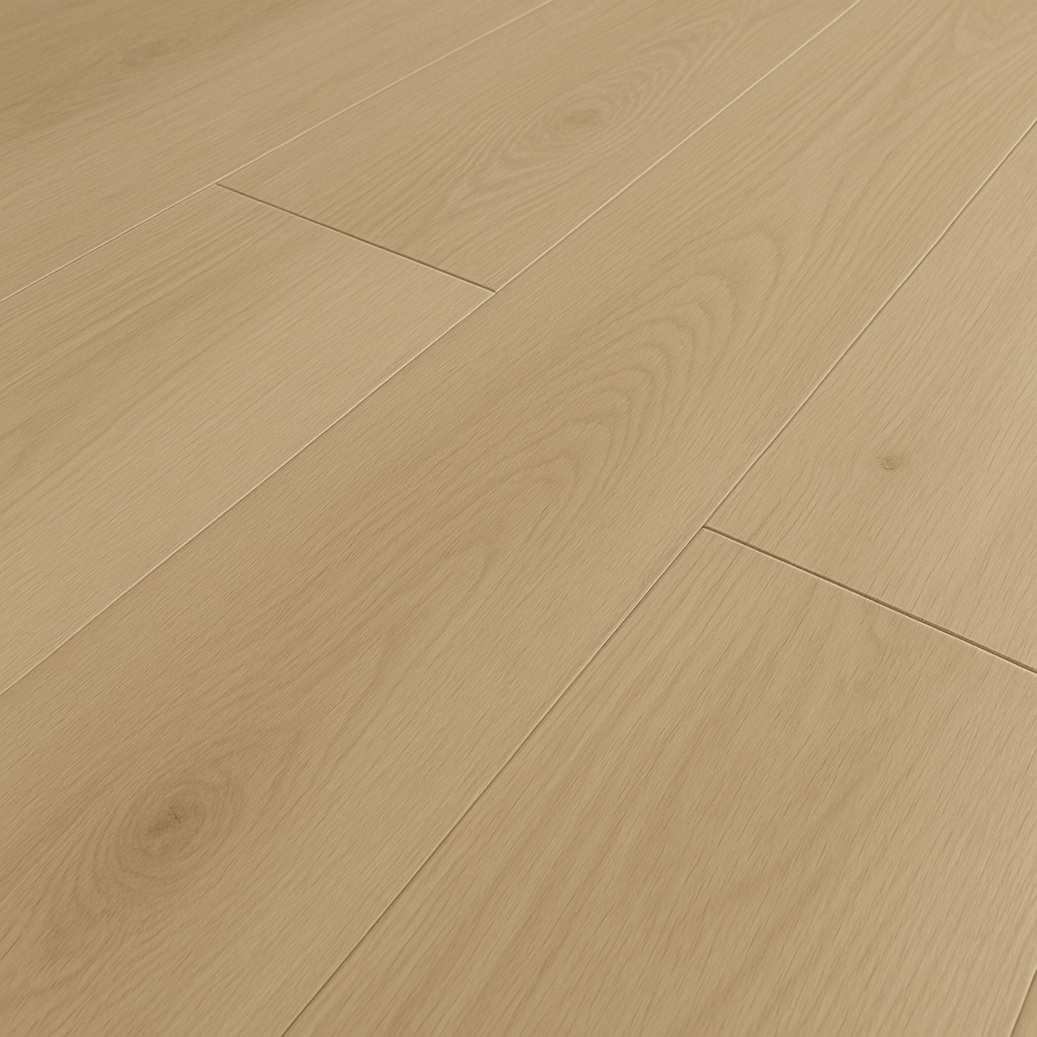 Adirondack White Oak