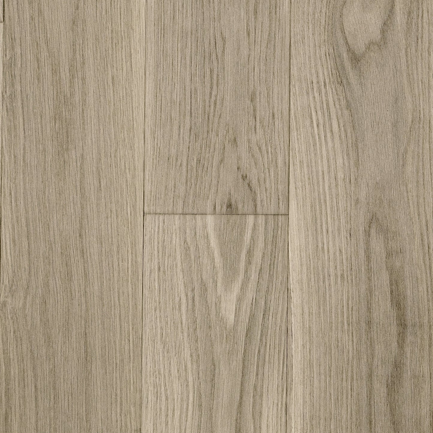 Giuseppe White Oak