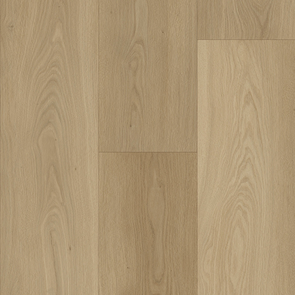 Alpine White Oak Sample