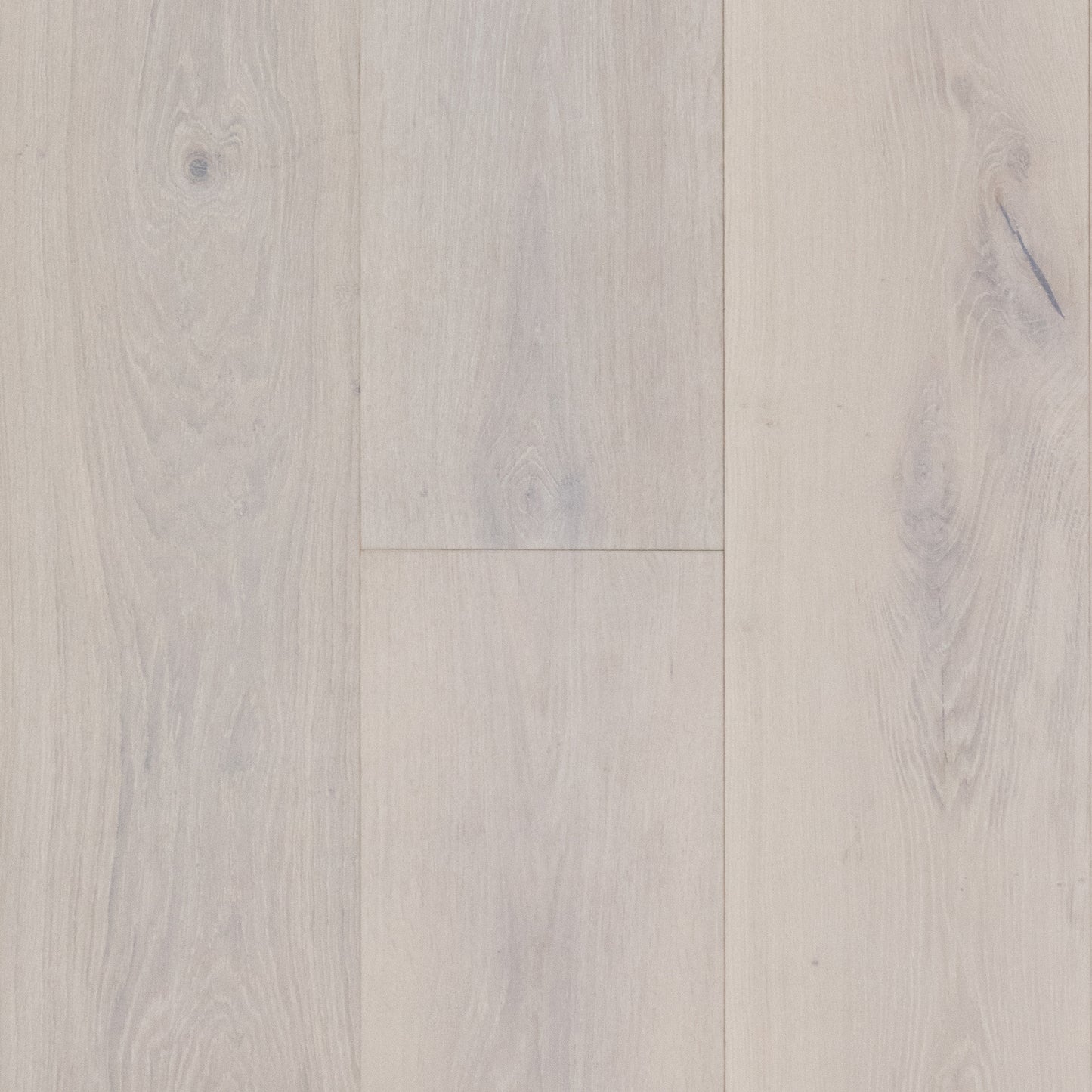 Long Island White Oak