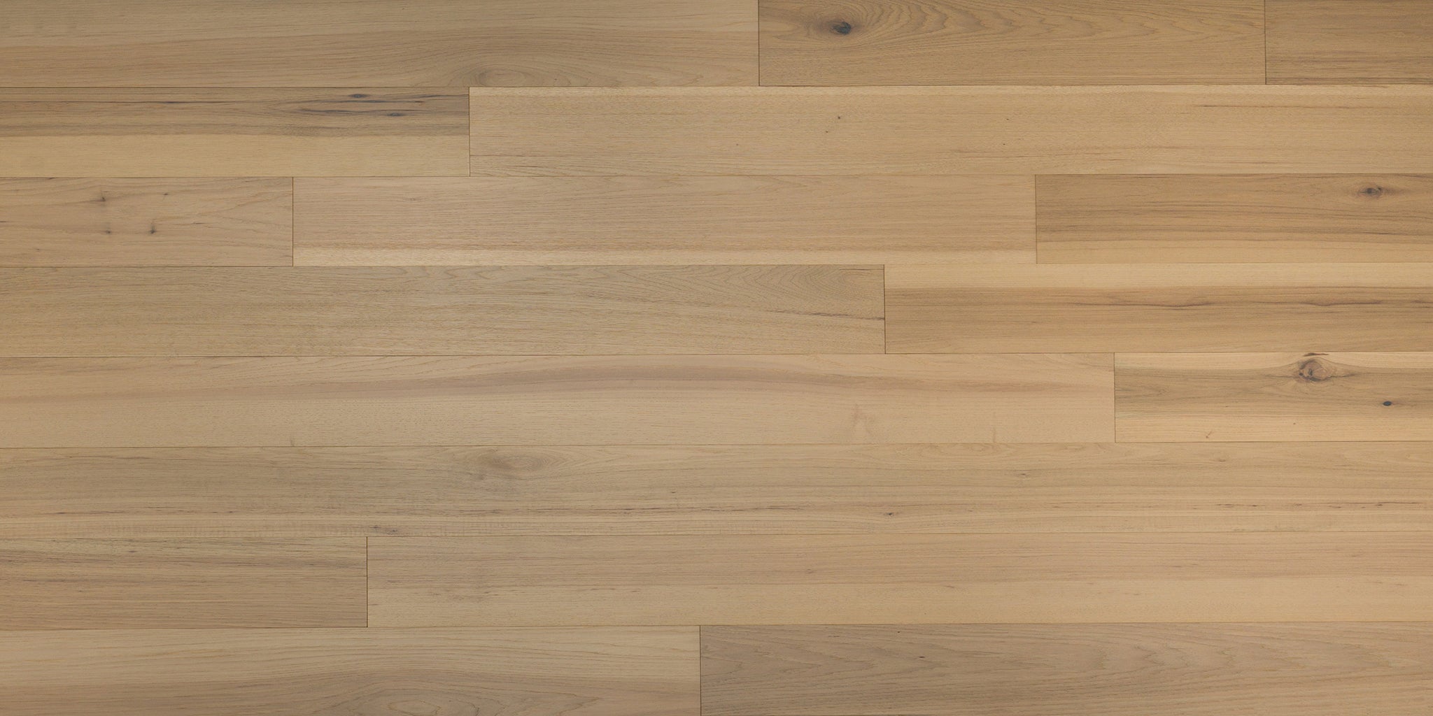 Katmai Hickory
