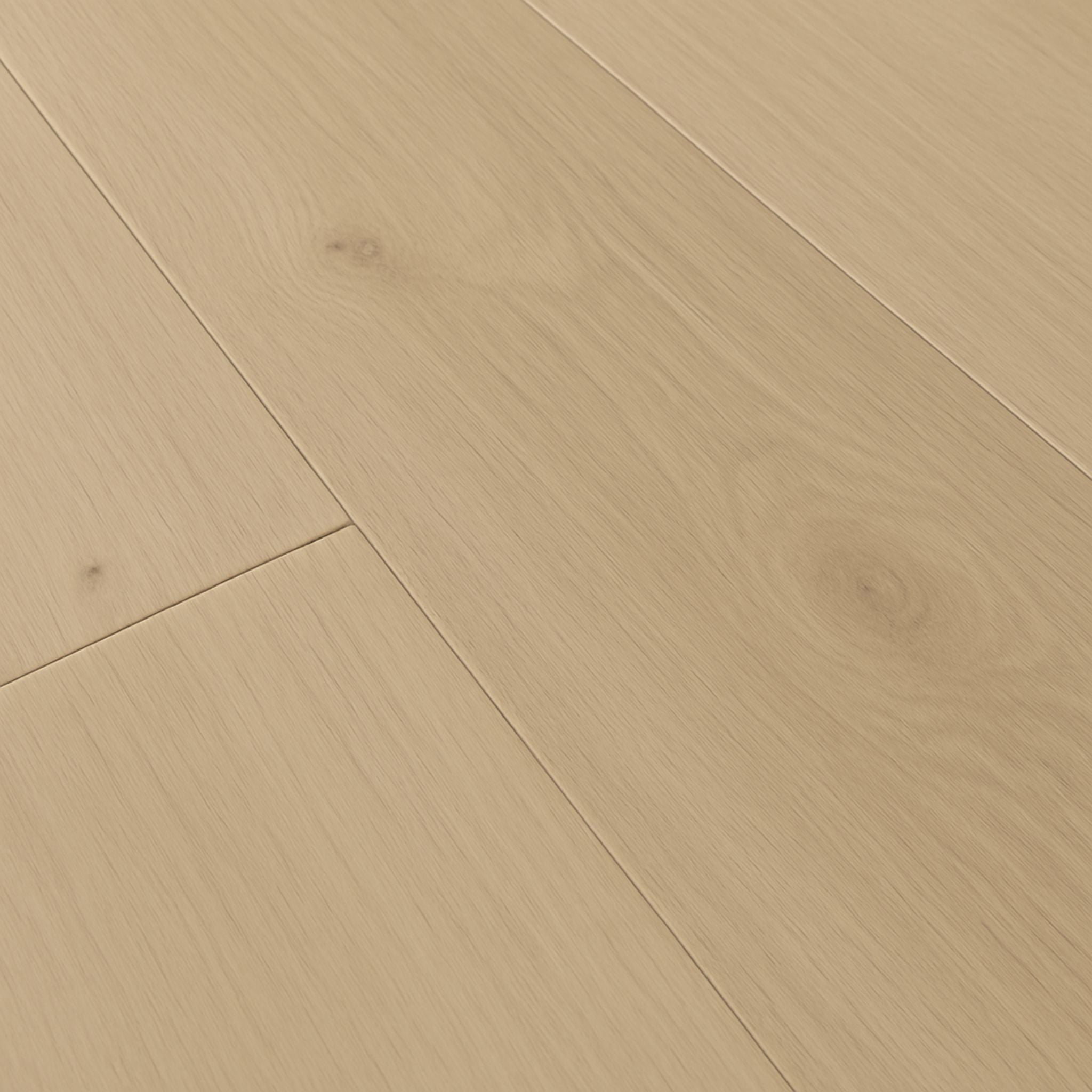 Adirondack White Oak