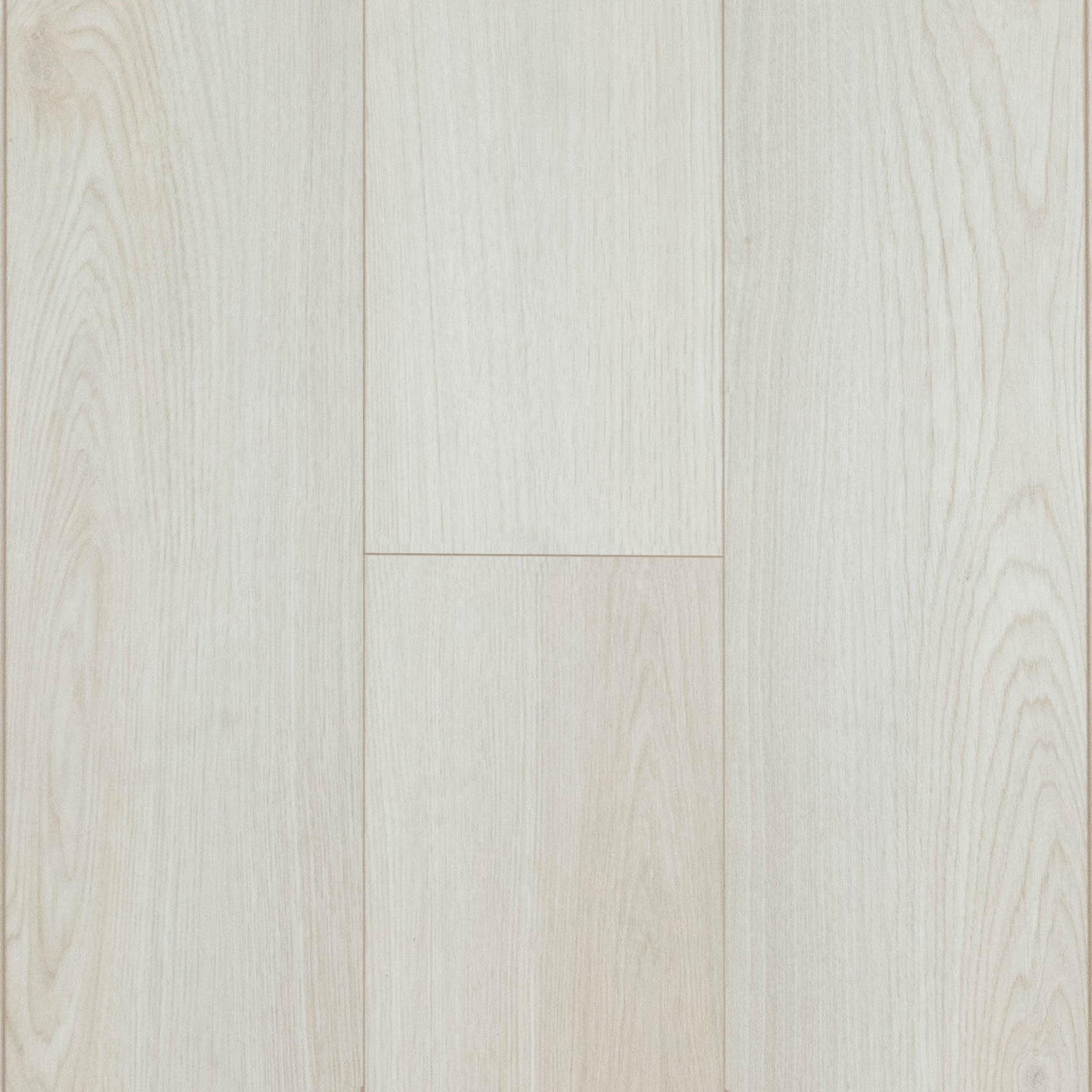 Adirondack White Oak Samples