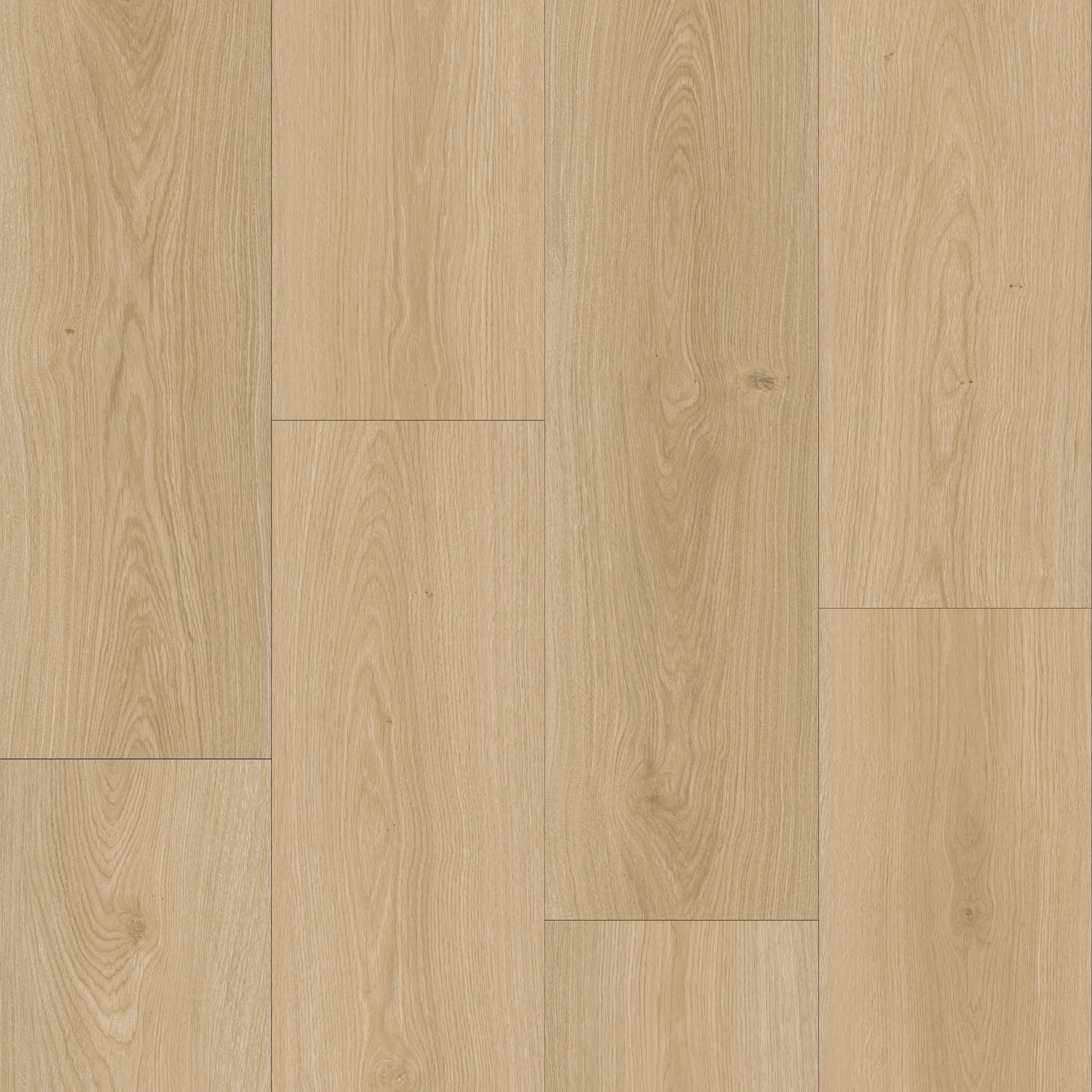 Adirondack White Oak