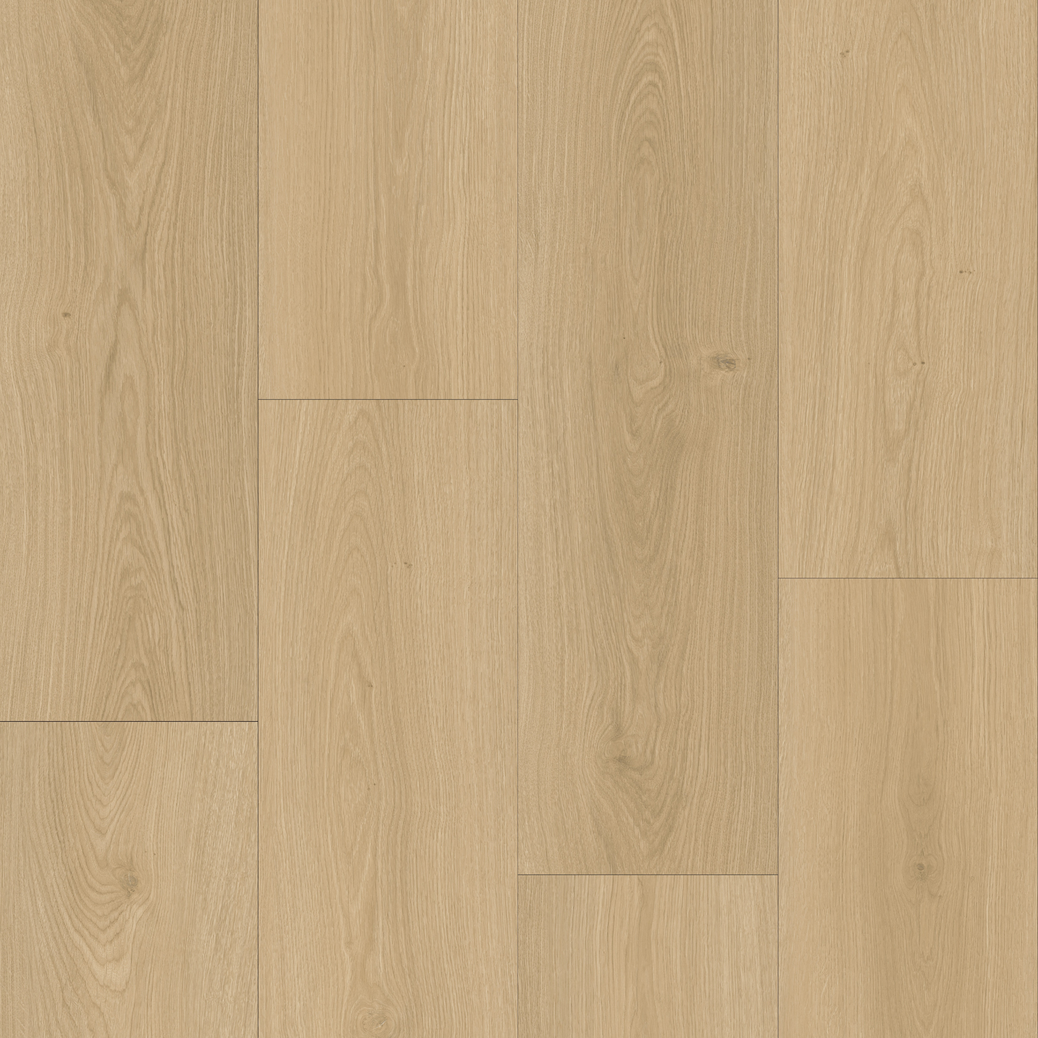 Adirondack White Oak