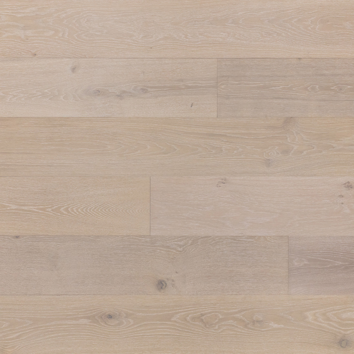 Caladesi White Oak