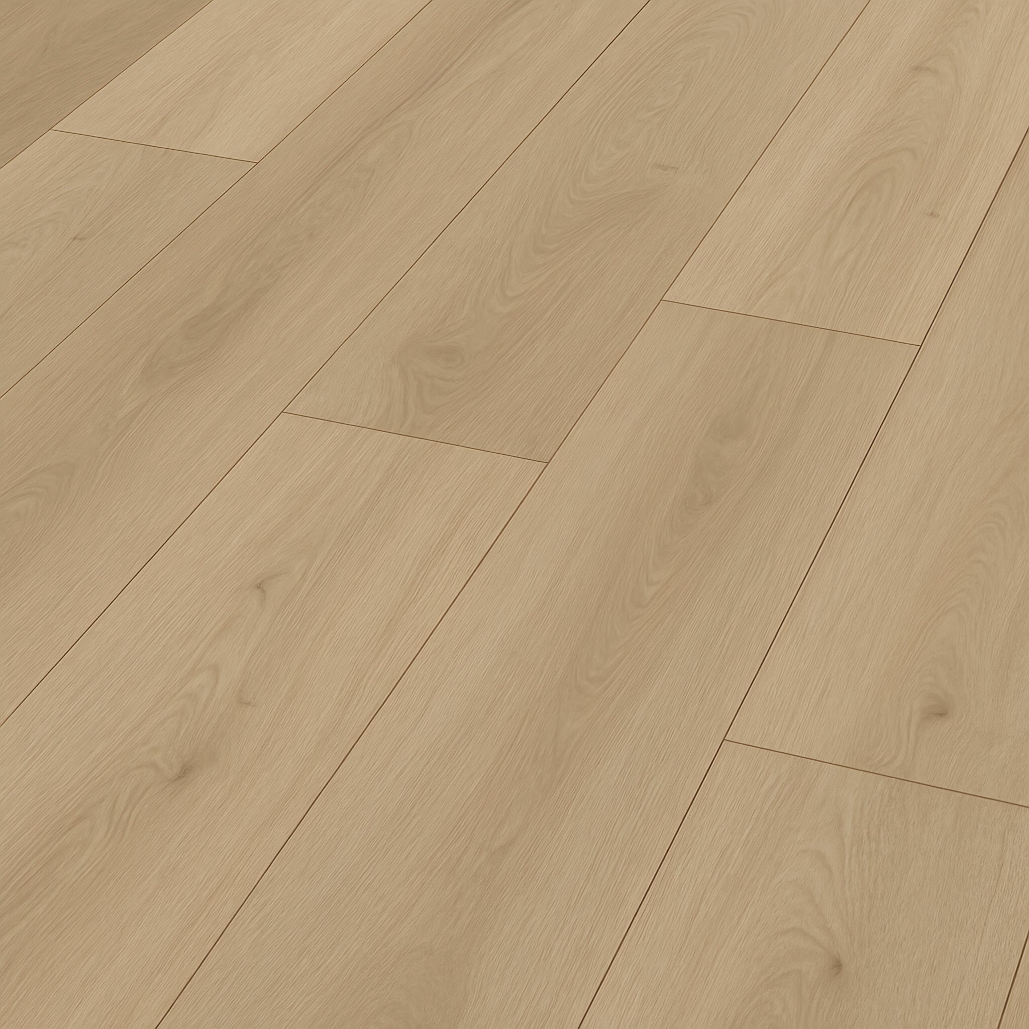 Sequoia White Oak