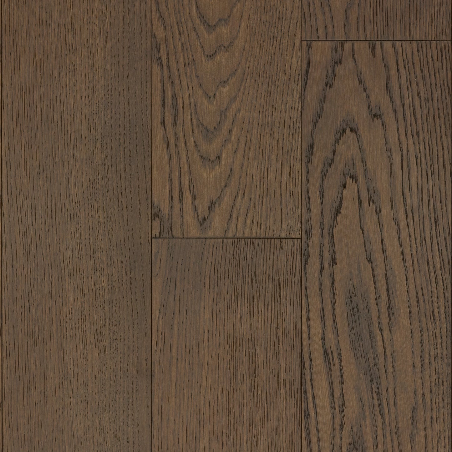 Bern White Oak Samples