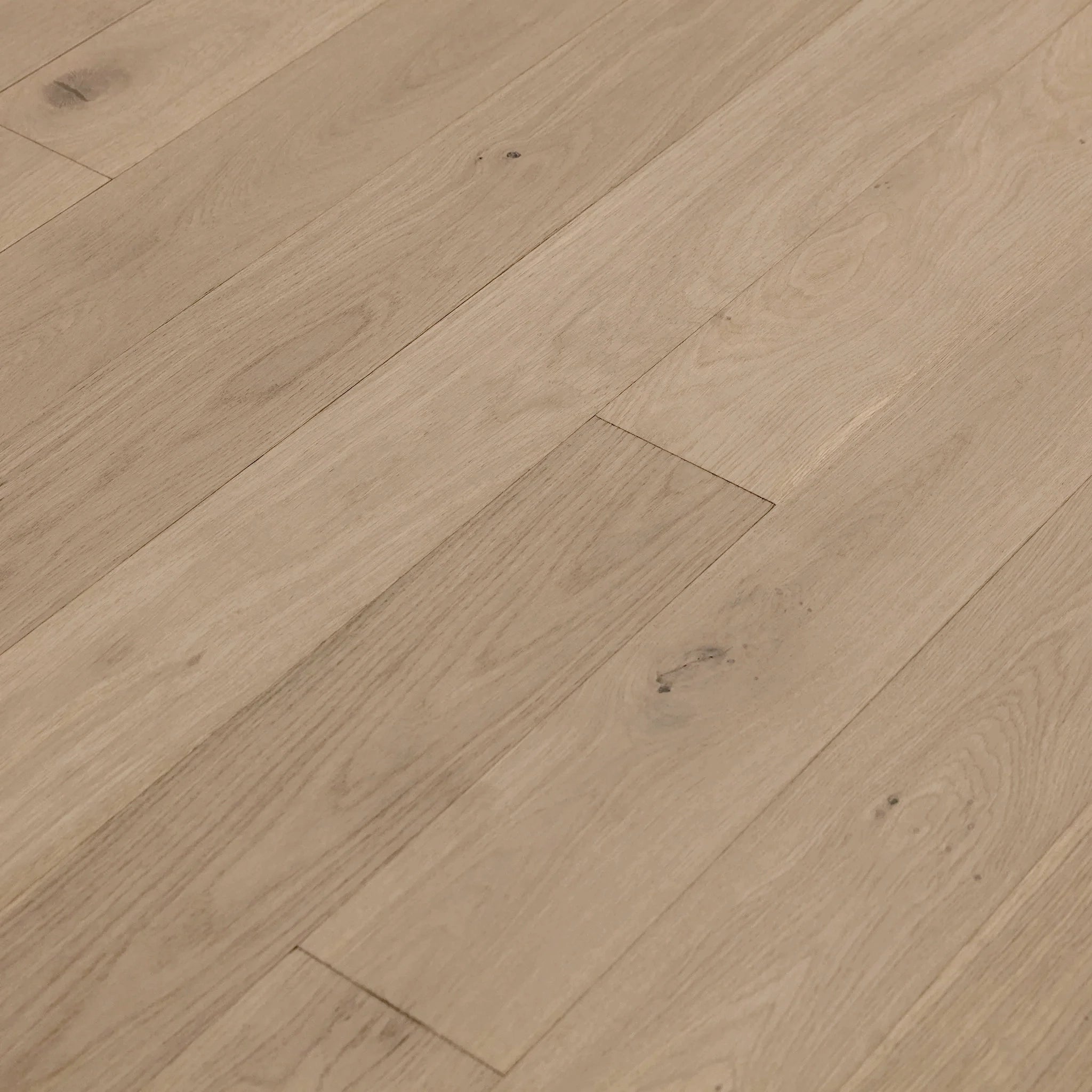 Coastal White Oak