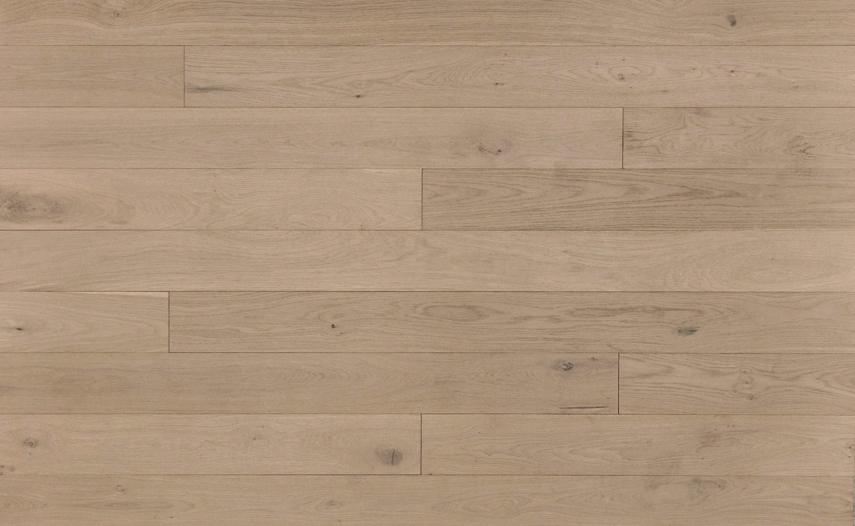 Coastal White Oak