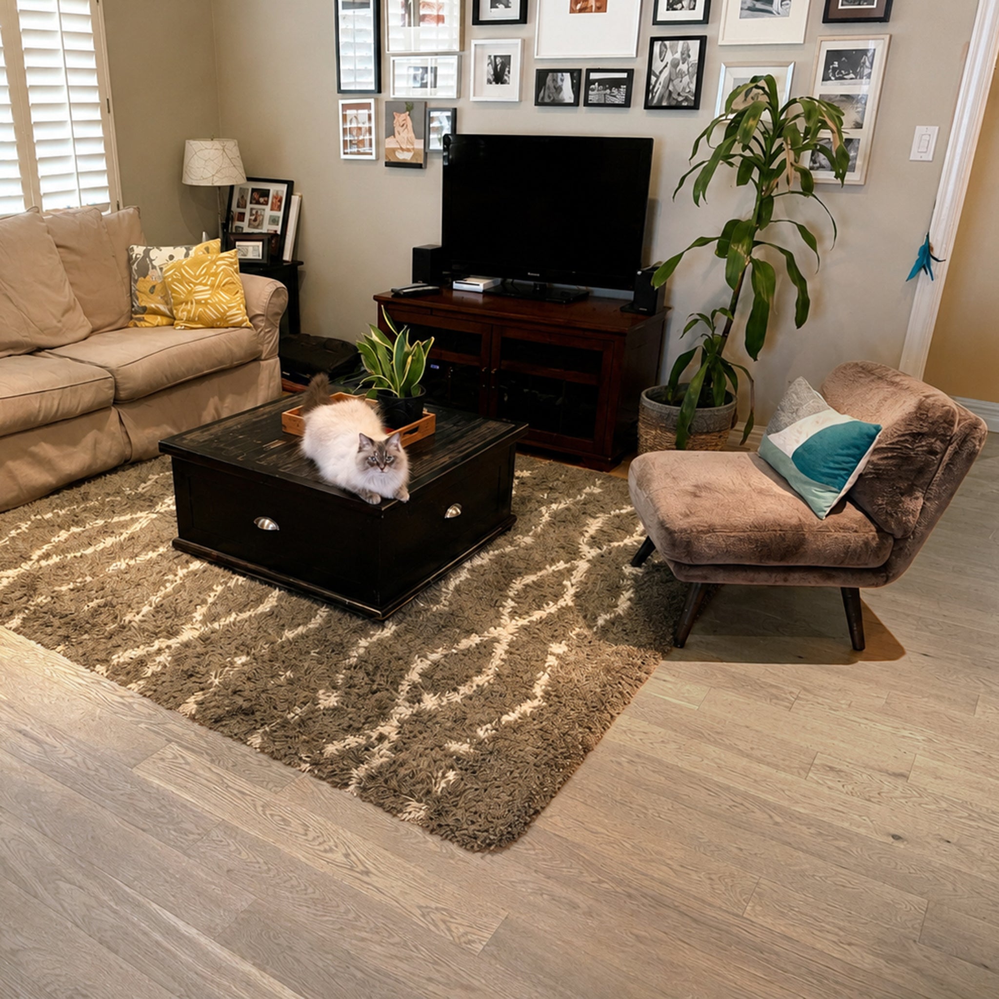 Coastal White Oak