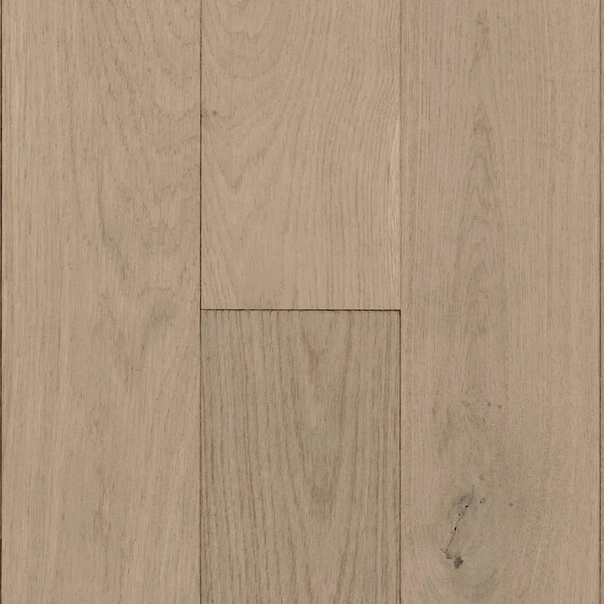 Coastal White Oak Sample