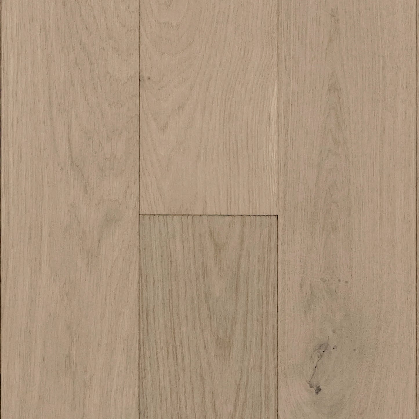 Coastal White Oak Sample