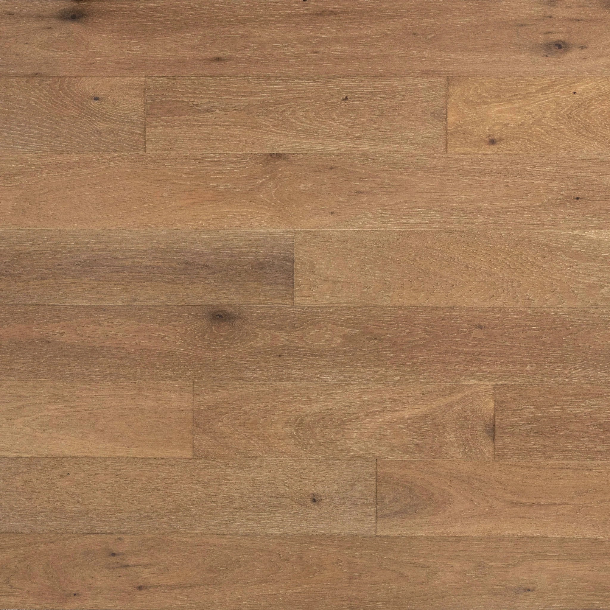 Mojave White Oak Sample