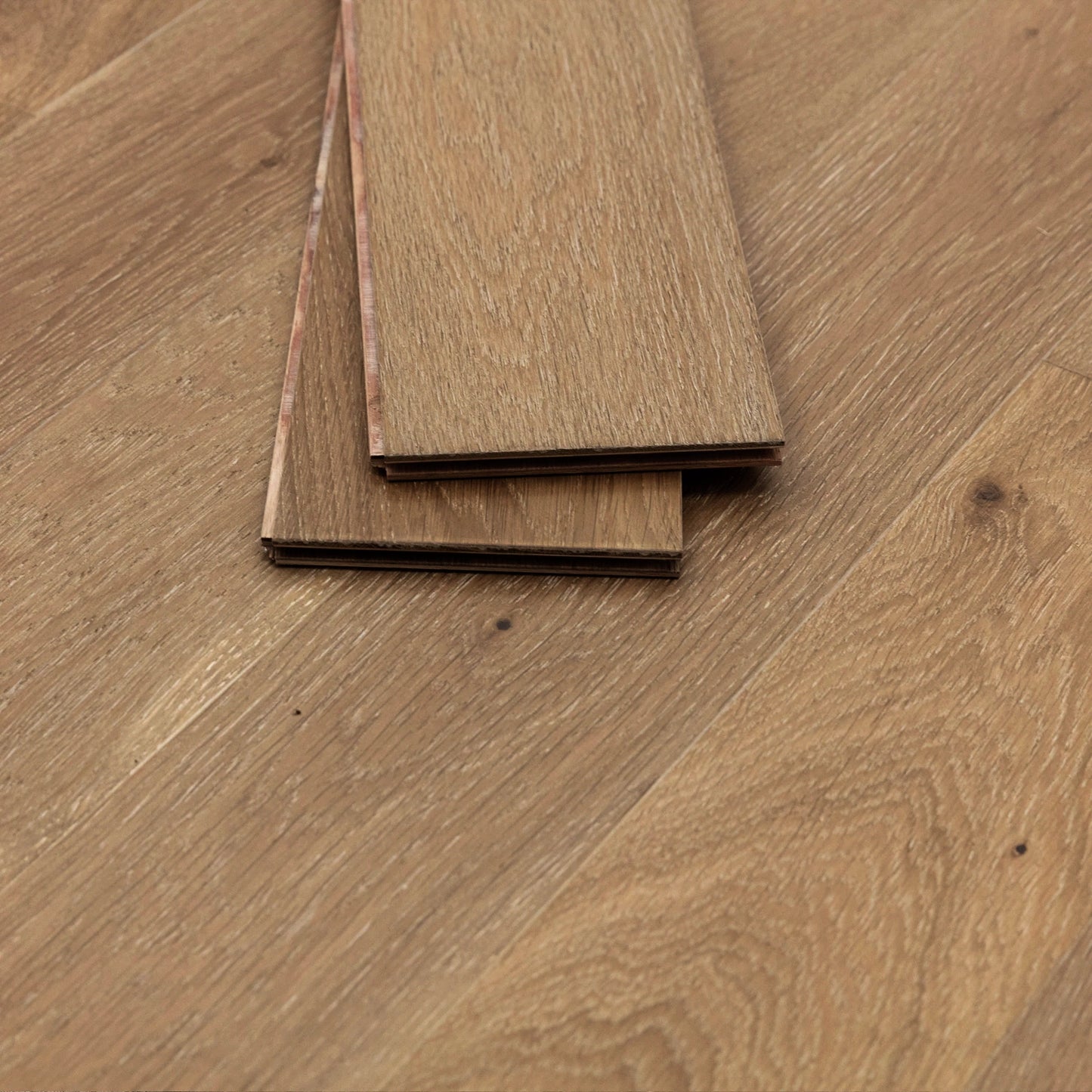 Mojave White Oak