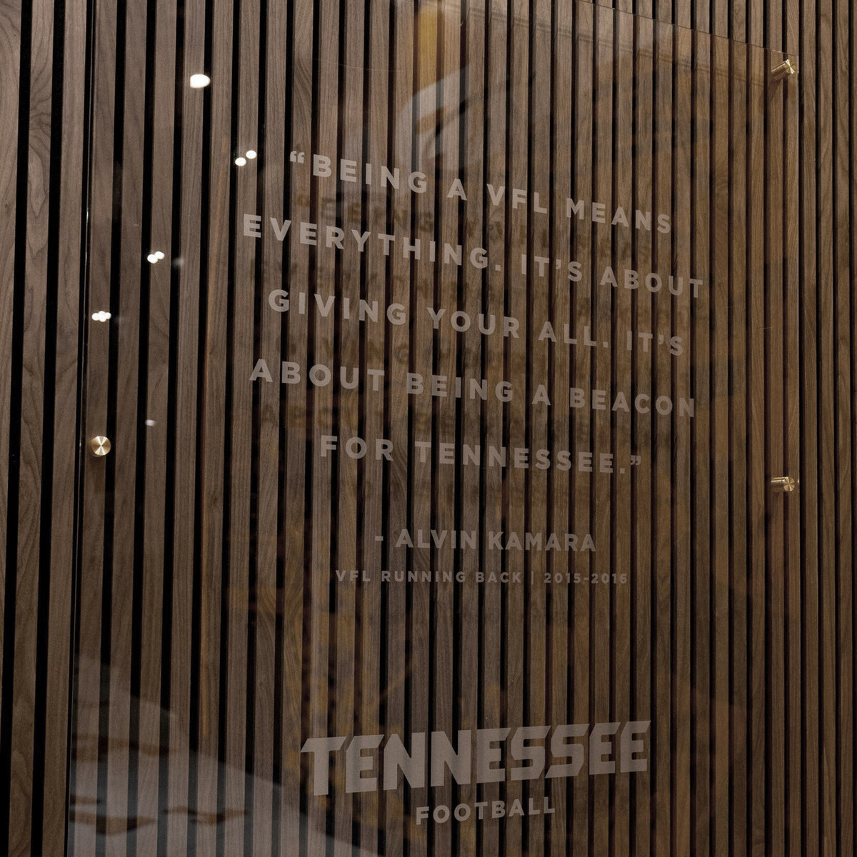 Natural Walnut Acoustic Slat Panels