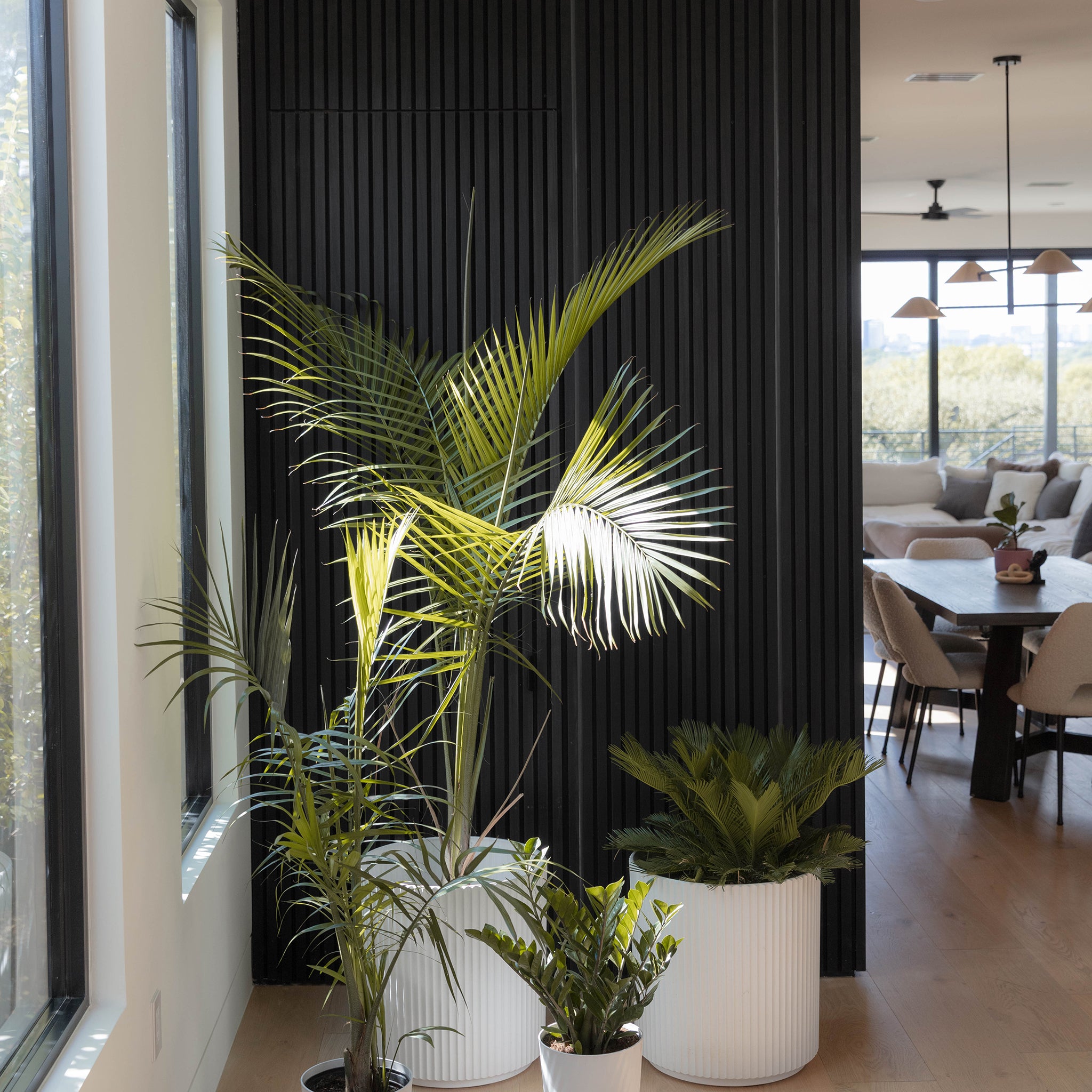 Noir Oak Acoustic Slat Panels