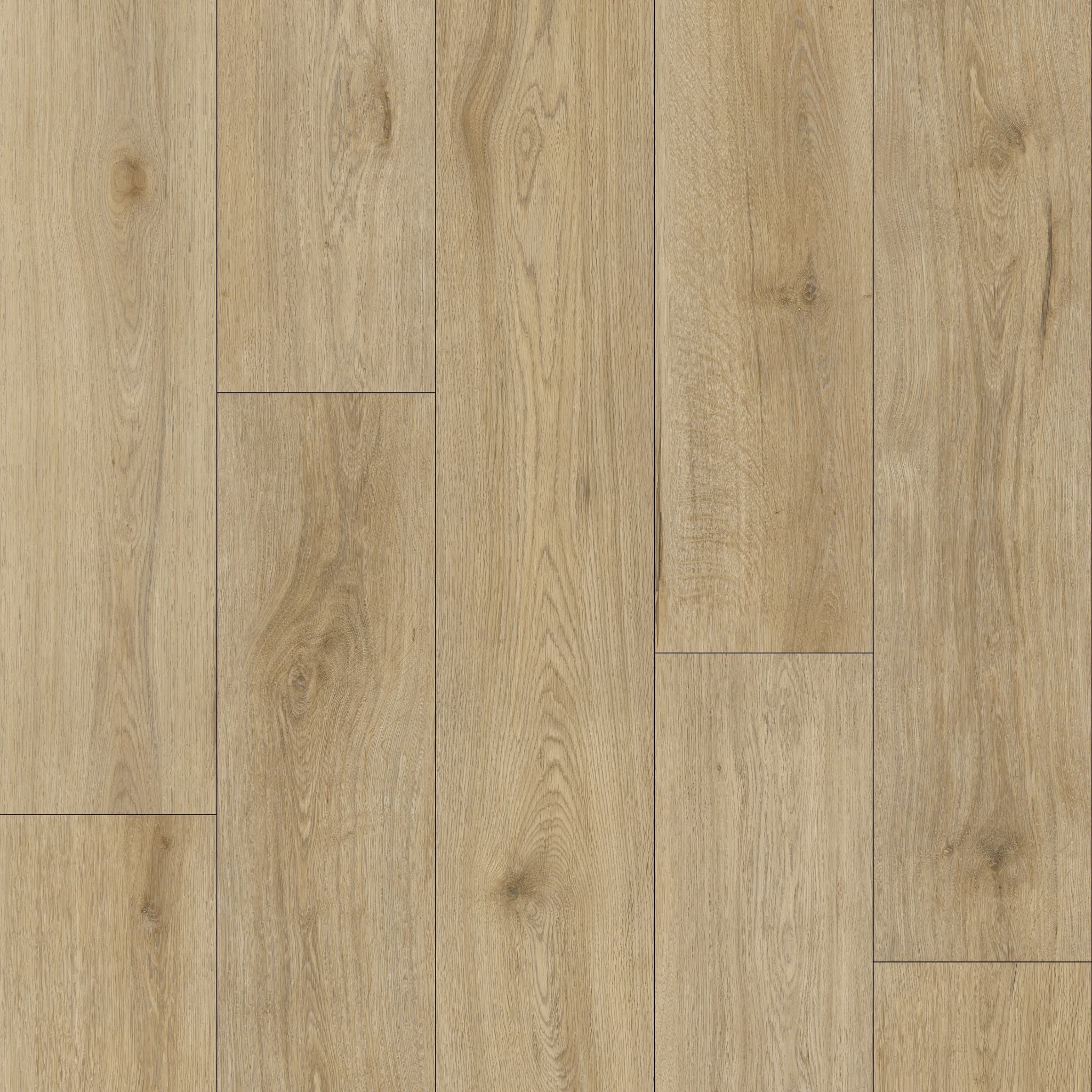 Caspian White Oak