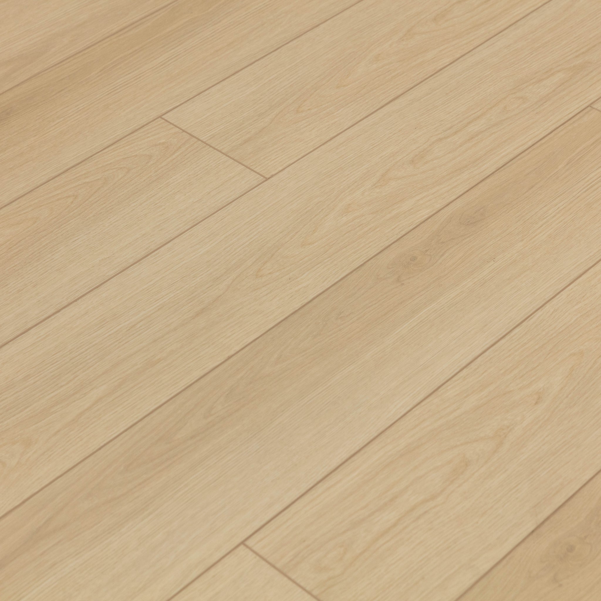 Adirondack White Oak