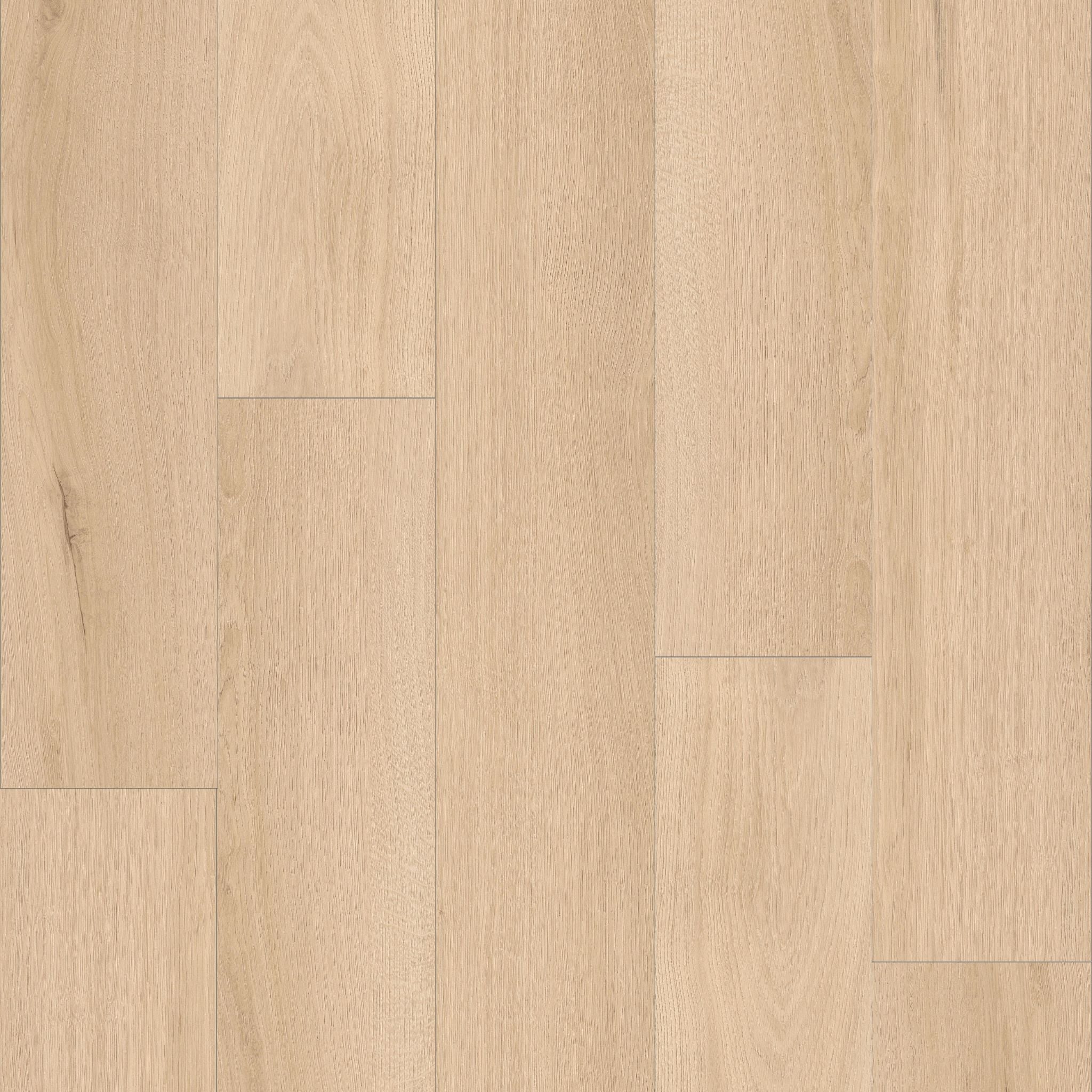 Basin White Oak