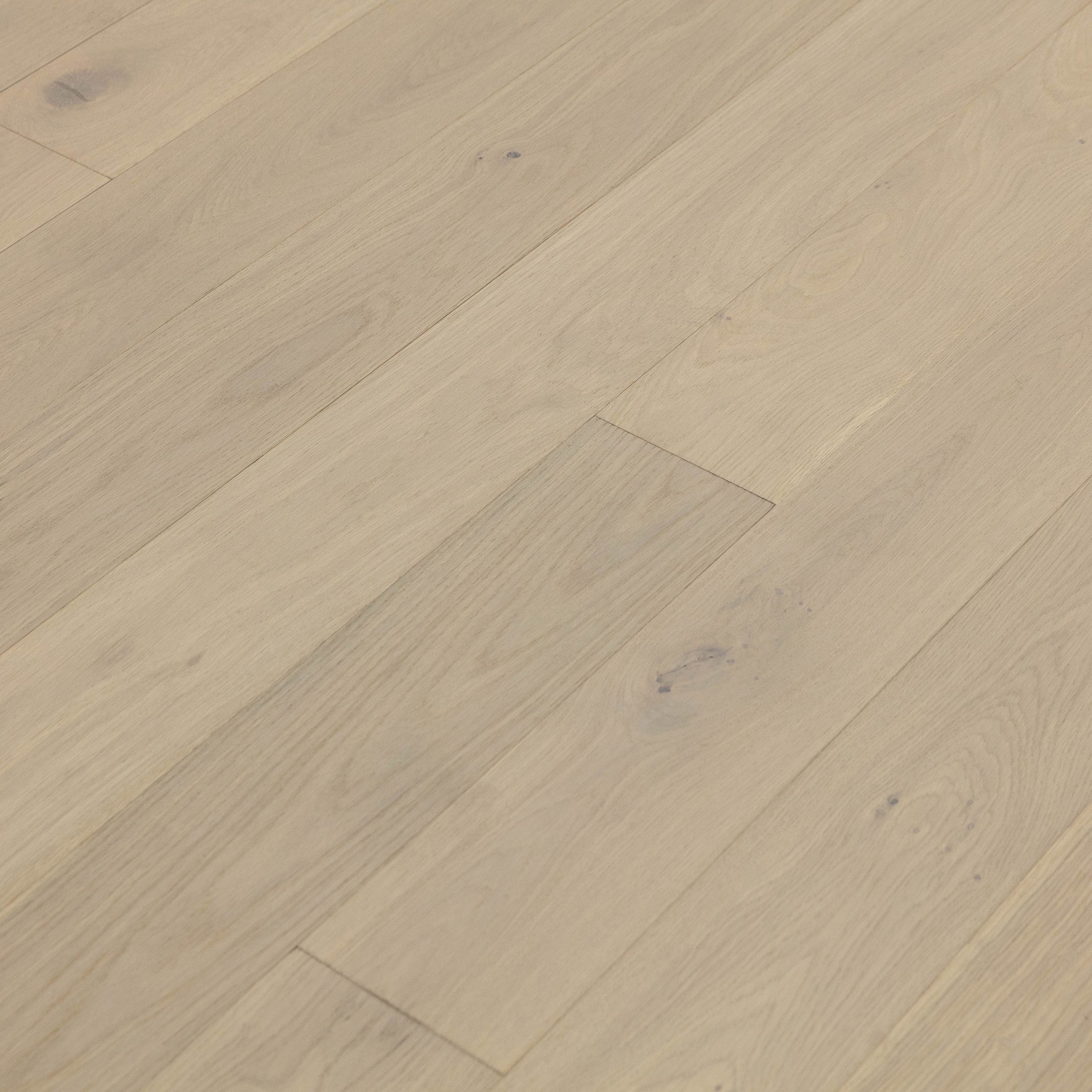 Coastal White Oak