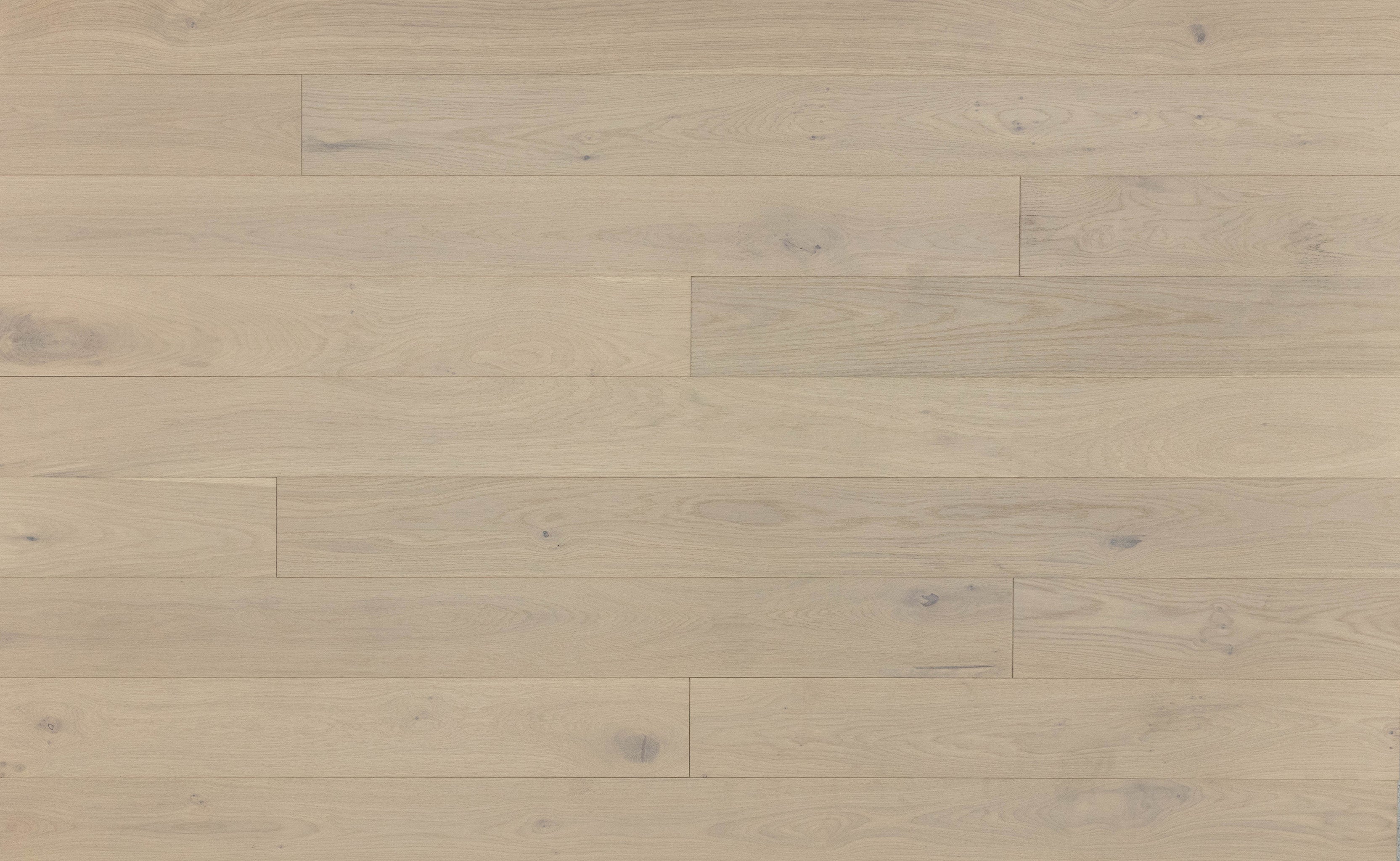 Coastal White Oak