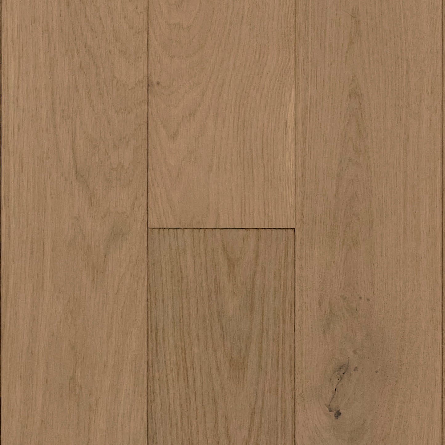 Coastal White Oak
